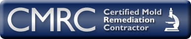 Mold Remediation Colorado Springs